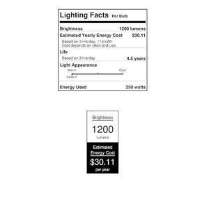 250 watt 120 volt R40 Medium Screw Base Clear Flood 2