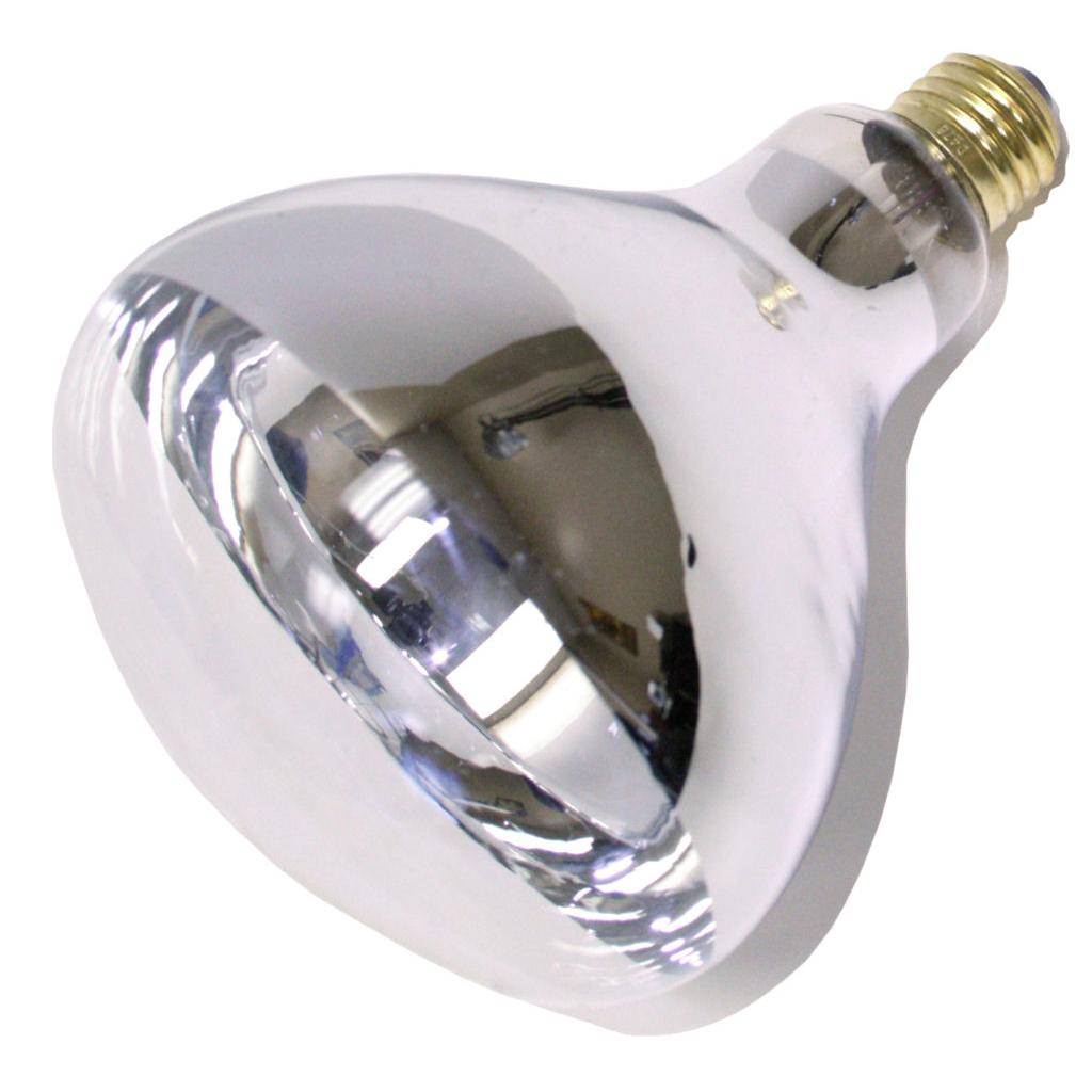 250 watt 120 volt R40 Medium Screw Base Clear Flood 1