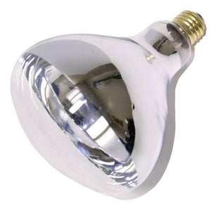 250 watt 120 volt R40 Medium Screw Base Clear Flood 1
