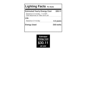 250 watt 120 volt R40 Medium Screw Base Red Flood 2