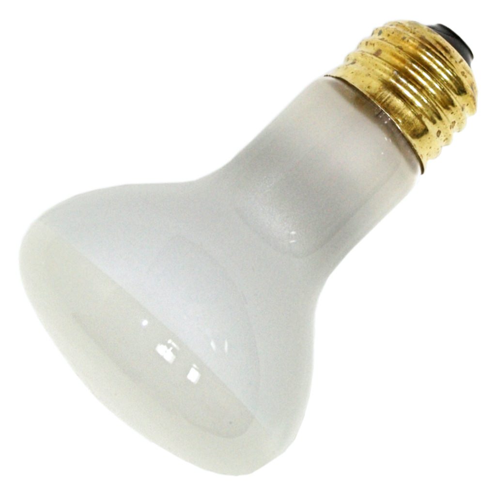30 watt 120 volt R20 Medium Screw Base 2700K Warm White Flood 1