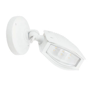 6 watt 100/150 volt 3000K Natural White LED Flood 1