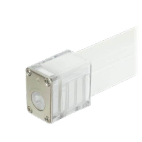 Pro-L End Cap 1