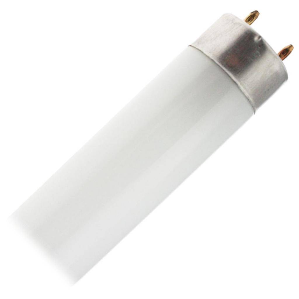 18 watt 30" T8 Bi-Pin Base 4200K Cool White Fluorescent 1