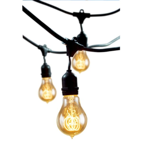 15 Light 48' Black (Medium Screw Base) Light String with 15 Nostalgic Bulbs 2