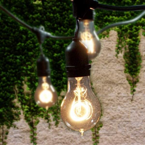 15 Light 48' Black (Medium Screw Base) Light String with 15 Nostalgic Bulbs 3
