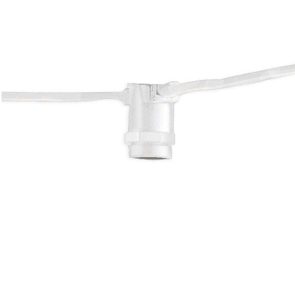 15 Light 25' White (Candelabra Screw Base) Light String 1