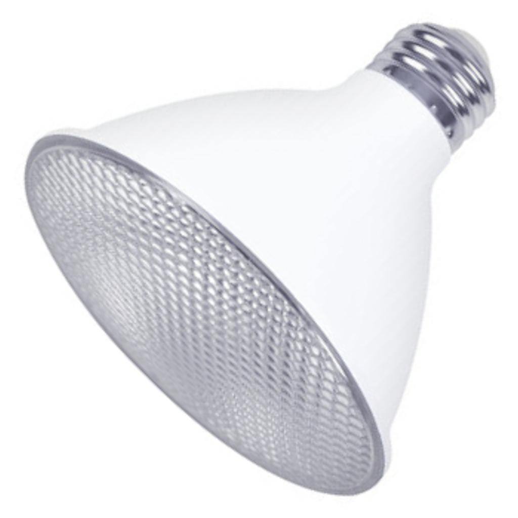 10 watt 120 volt PAR30 Medium Screw Base 2700K Warm White Dimmable Flood LED 1