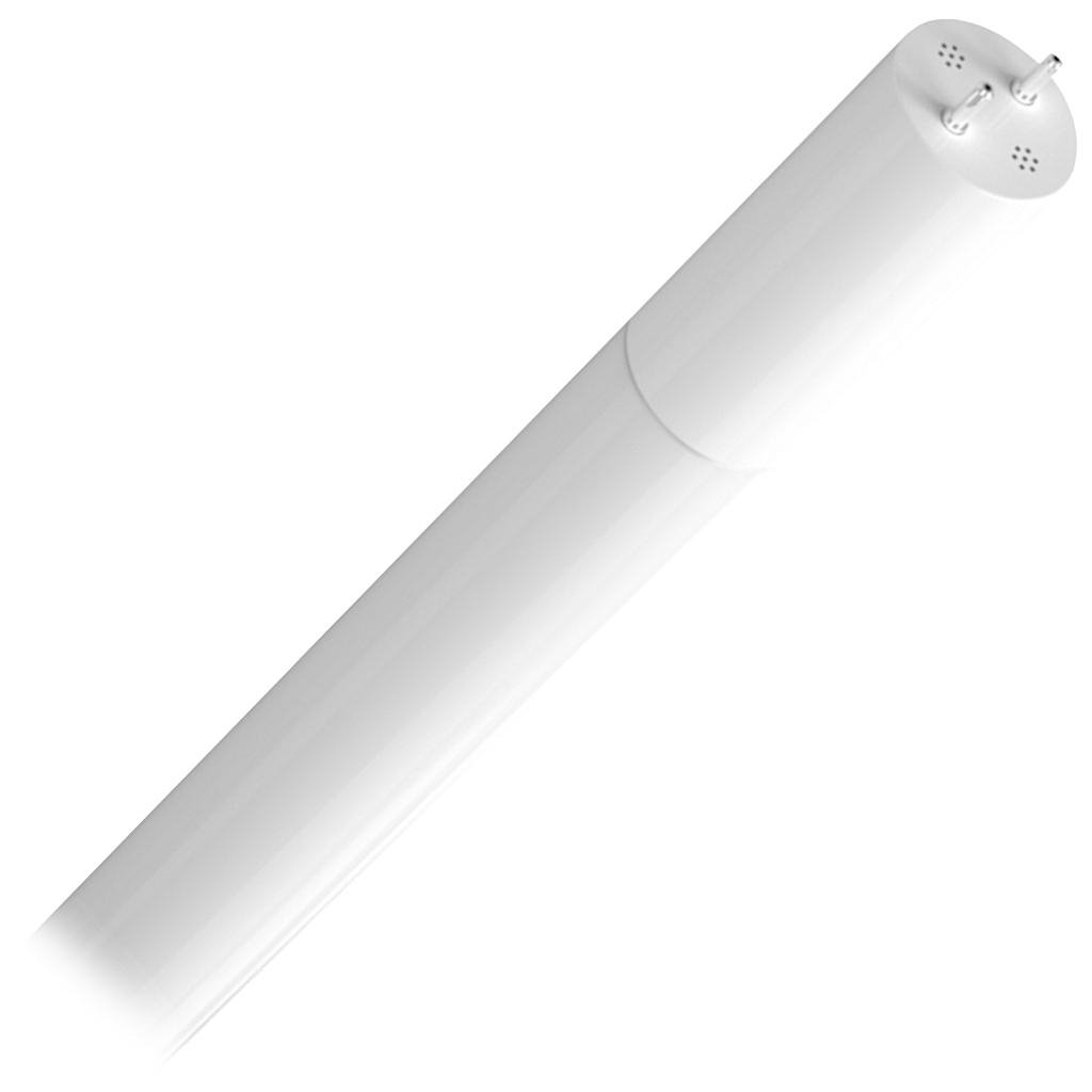 12 watt 120/277 volt 48" T8 Medium Bi-Pin Base 5000K Daylight Dimmable LED Tube 1