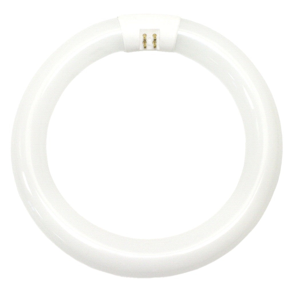 22 watt 8.25" T9 4-Pin Base 4100K Cool White 1