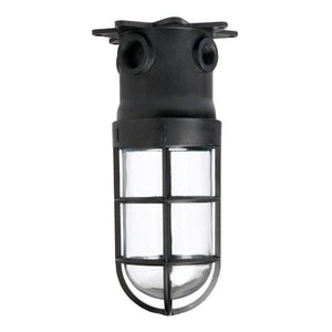 1 Light Medium Base Glass Globe with Safety Cage Utility Light 1