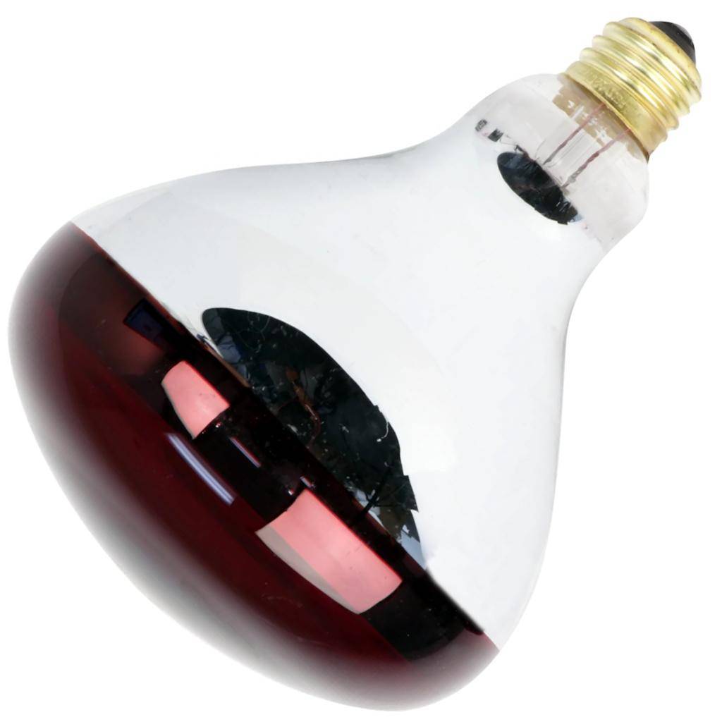 250 watt 120 volt R40 Medium Screw Base Red Finish Heat Lamp Dimmable 1
