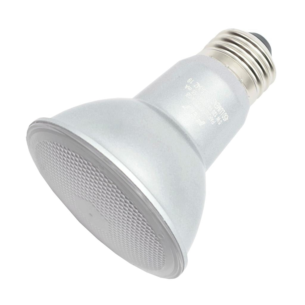 5 watt 120 volt PAR20 Medium Screw Base 3000K Natural White Dimmable Flood LED 1