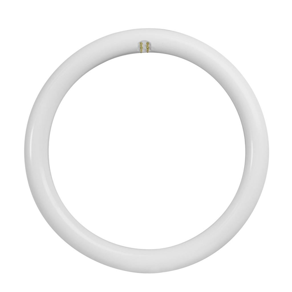 20 watt 12" T9 4-Pin Base 4100K Cool White Non-Dimmable LED 1