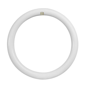 20 watt 12" T9 4-Pin Base 4100K Cool White Non-Dimmable LED 1