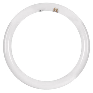 12" 20 watt T9 4-Pin Base CCT Selectable Ballast Compatible Circular Non-Dimmable LED 1