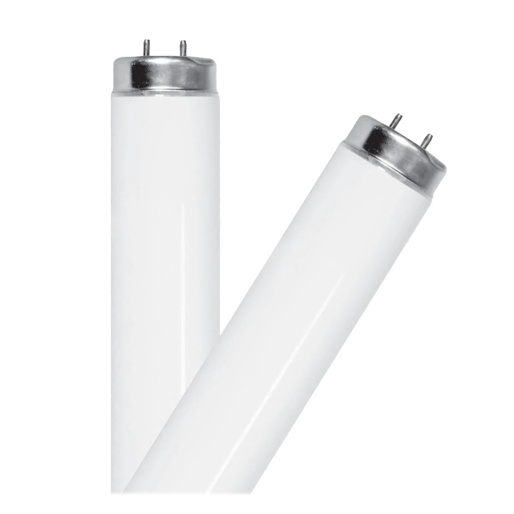 48" 40 watt T12 Medium Bi-Pin Base 6500K Daylight Non-Dimmable 1