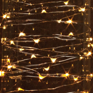 60 Light 10' Silver Wire Warm White Electric Outdoor LED Micro Miniature String with 9' Lead Wire 1