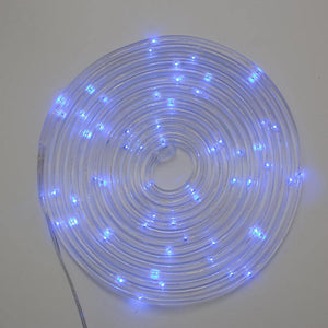 15' 60 Blue Micro LEDs Silver Wire Battery Operated Multifunction Clear Rope Light with Timer 1