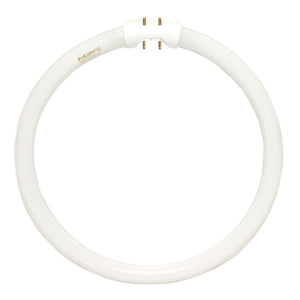 22 watt 9" T5 4-Pin Base 4100K Cool White 1