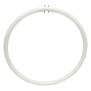 40 watt 12" T5 4-Pin Base 4100K Cool White 1
