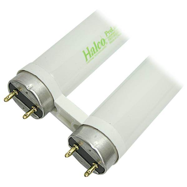 31 watt 22.5" T8 Medium Bi-Pin Base 3000K Natural White Fluorescent 3