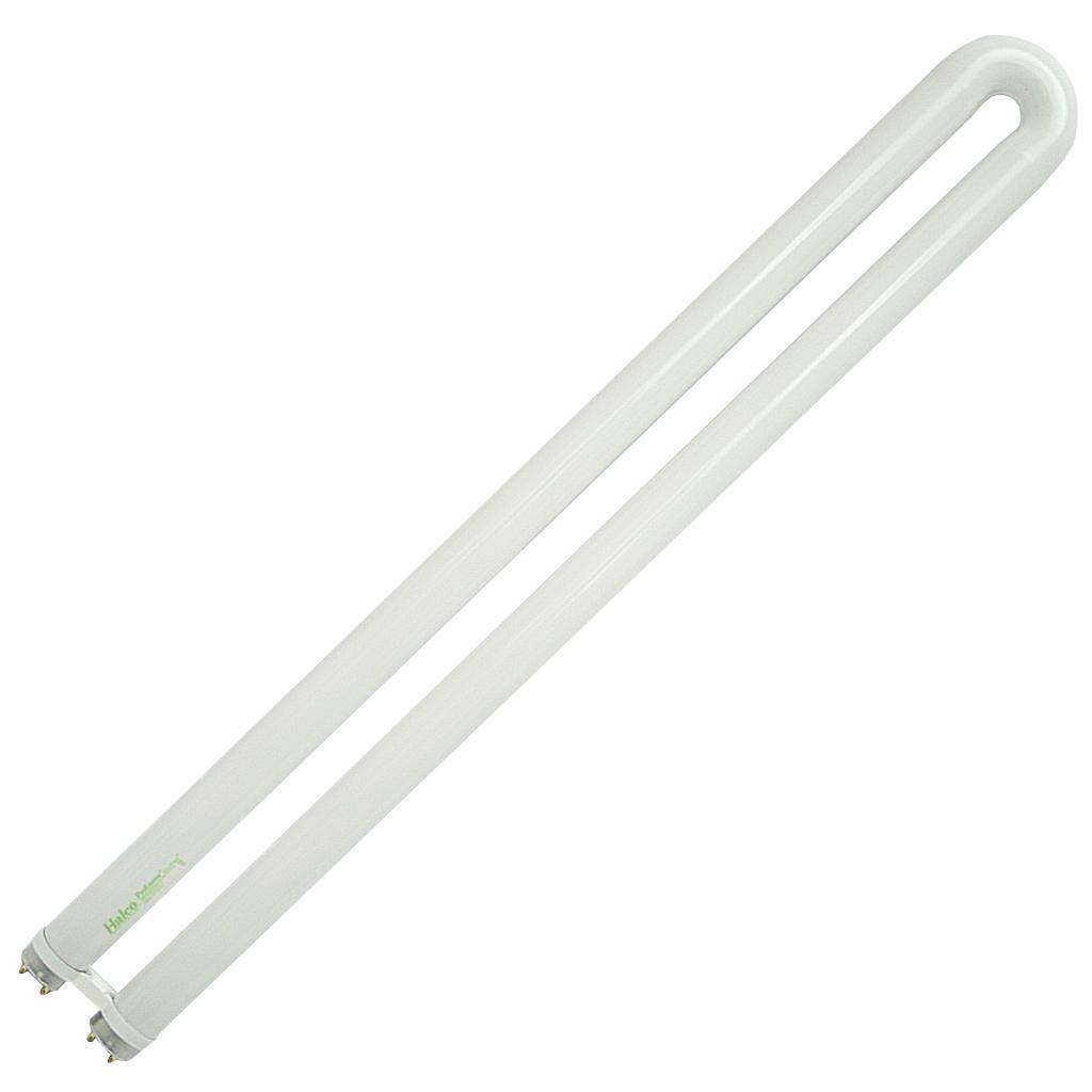 31 watt 22.5" T8 Medium Bi-Pin Base 3000K Natural White Fluorescent 1