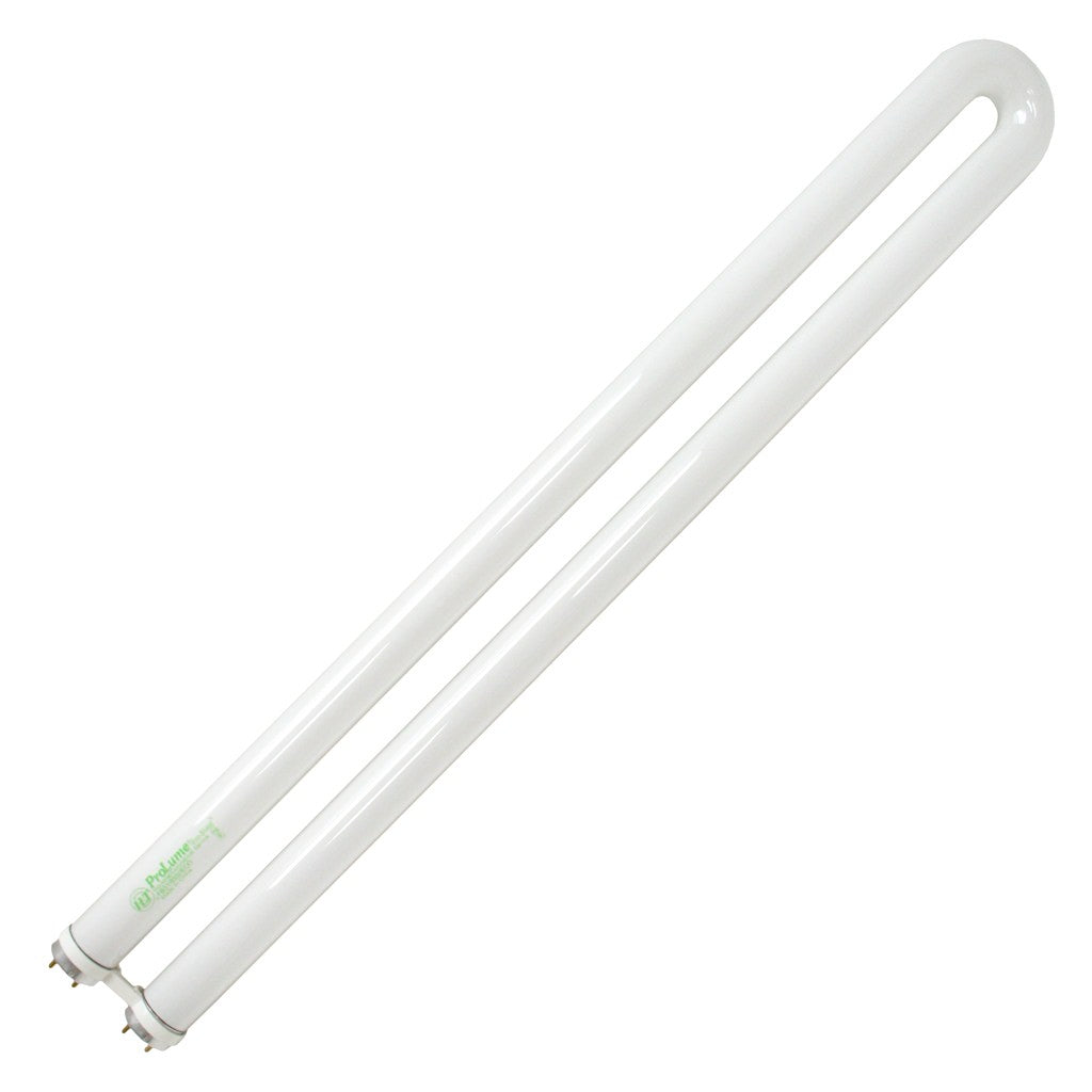 31 watt 22.5" T8 Bi-Pin Base 5000K Daylight 1