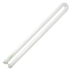 31 watt 22.5" T8 Bi-Pin Base 5000K Daylight 1