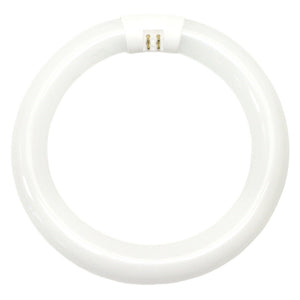 22 watt 8" T9 4-Pin Base 4100K Cool White 1