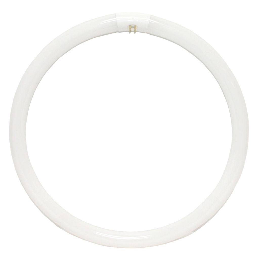 40 watt 16" T9 4-Pin Base 4100K Cool White 1