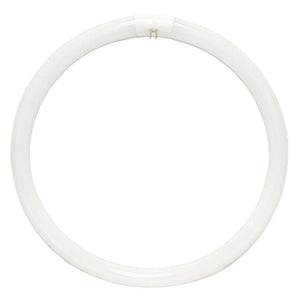 40 watt 16" T9 4-Pin Base 4100K Cool White 1