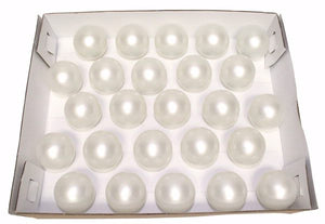 25' 25 Light White Wire G40 Pearl White String 2
