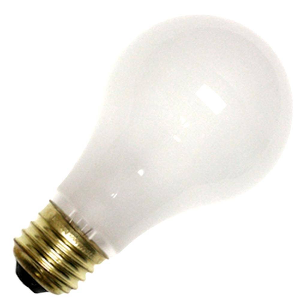 100 watt 34 volt A19 Medium Screw Base 1