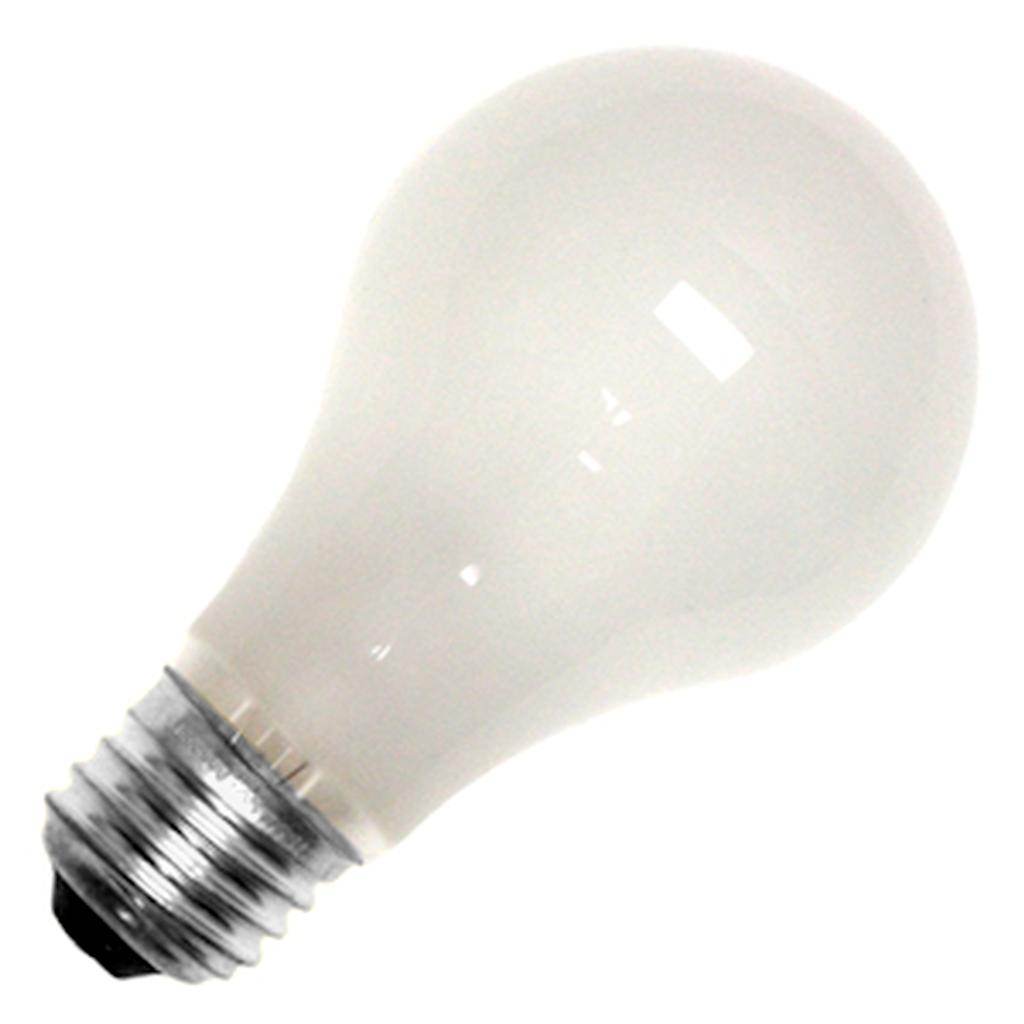 25 watt 24 volt A19 Medium Screw Base Frosted 1