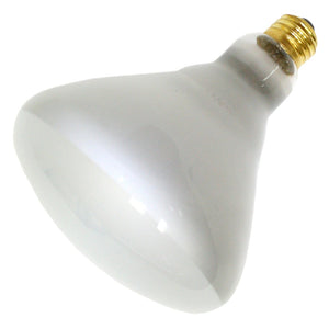 300 watt 130 volt BR40 Medium Screw Base Flood 1