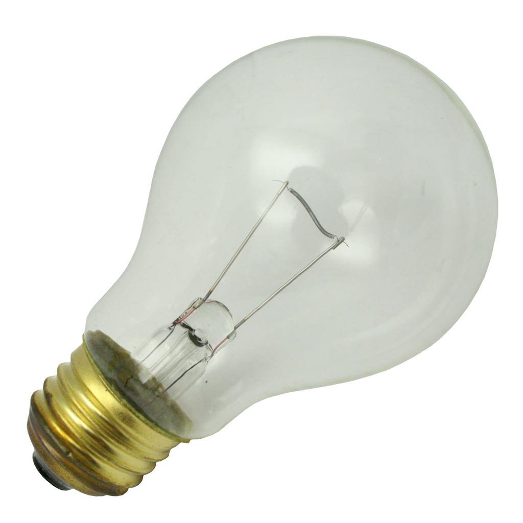 50 watt 24 volt A19 Medium Screw Base Clear 1
