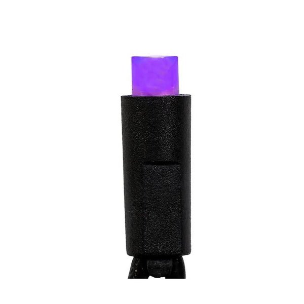 50 Light 24.5' UL 5MM Purple Frost LED Black Wire Light Set 1