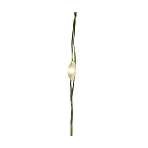 25 Light 8' Battery Operated Warm White Green Wire Fairy Light Set 1