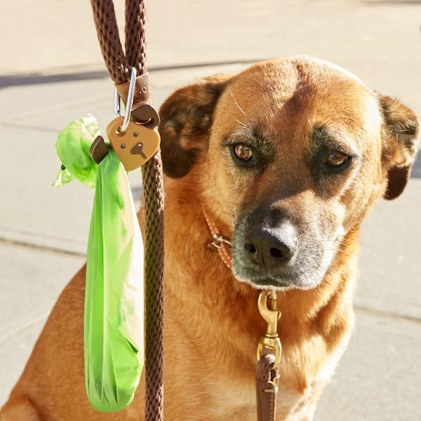 Brown Kobe Dog Light Keychain Light 2