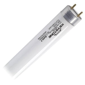 4' 25 watt T8 Medium Bi-Pin Base 5000K Daylight Fluorescent Light Bulb 1