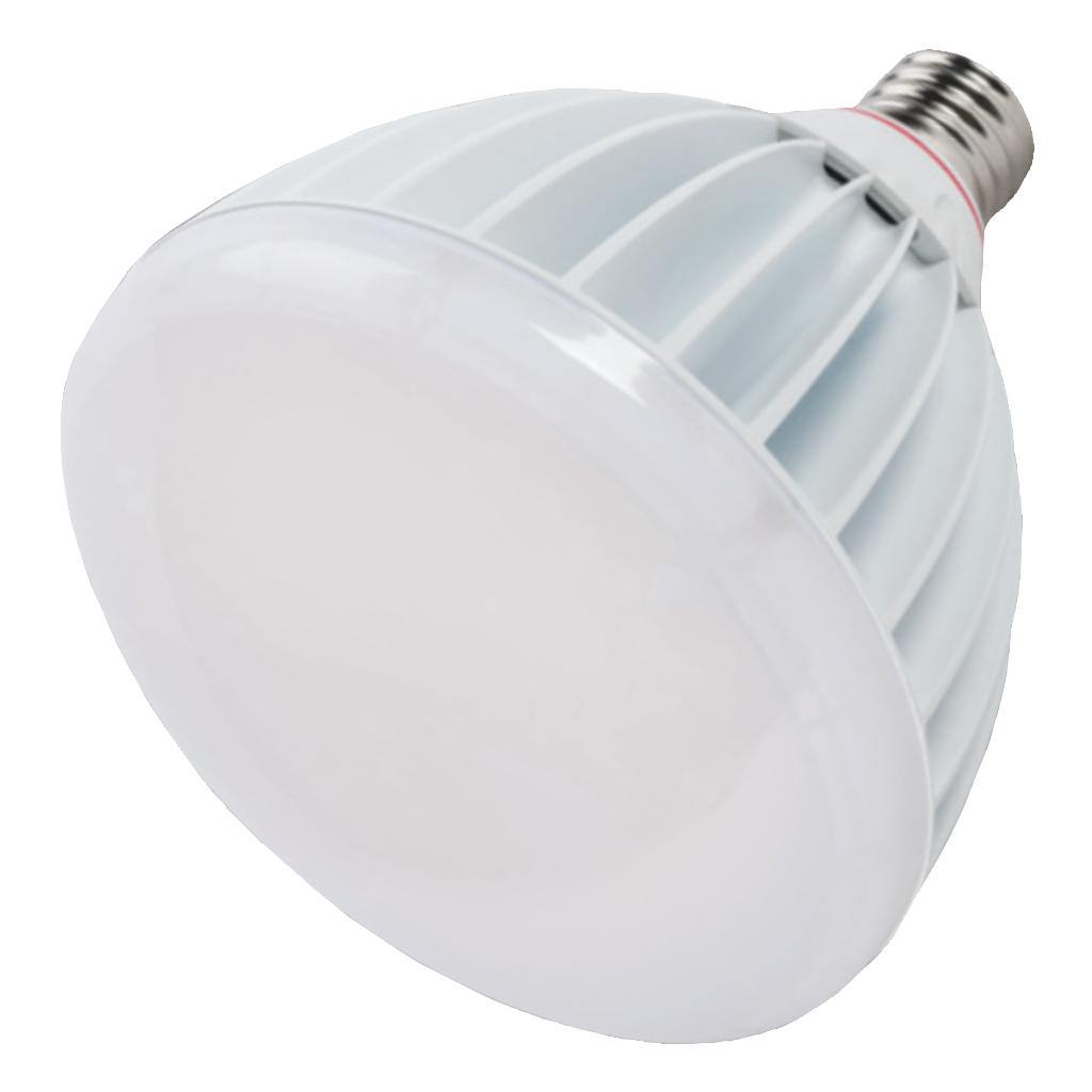 130 watt Exclusionary Mogul Screw Base 4000K Cool White LED 1