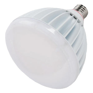 130 watt Exclusionary Mogul Screw Base 4000K Cool White LED 1