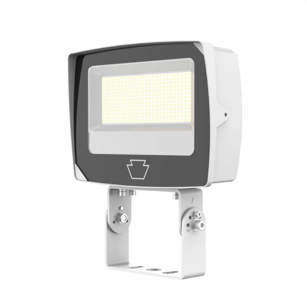 Selectable 120/277 volt watt CCT Selectable LED Flood Light 1