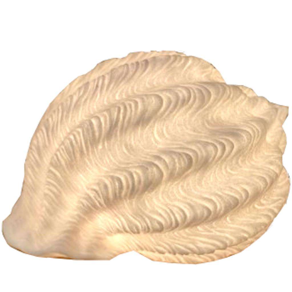 12.25" Tonna Galea Shell Table Lamp 1