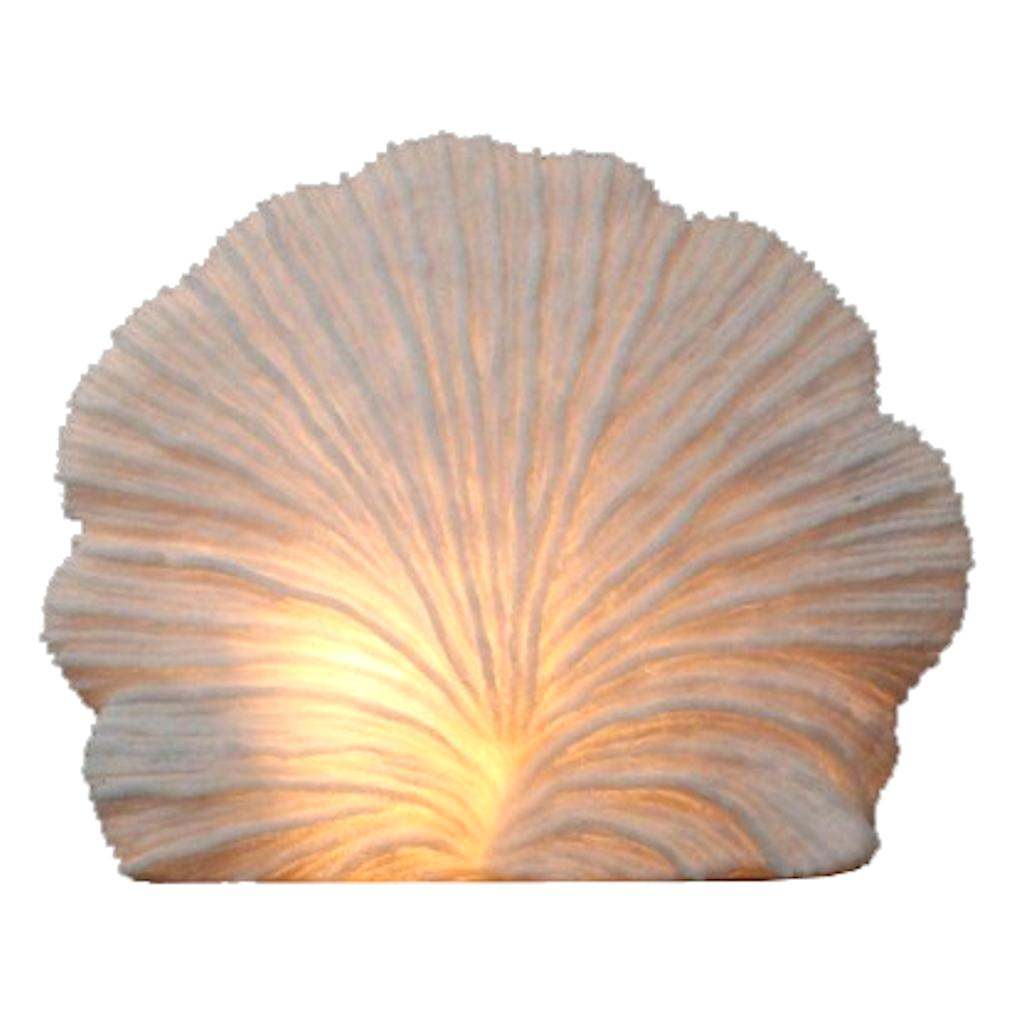 19.5" Large Striped Fan Coral Table Lamp 1