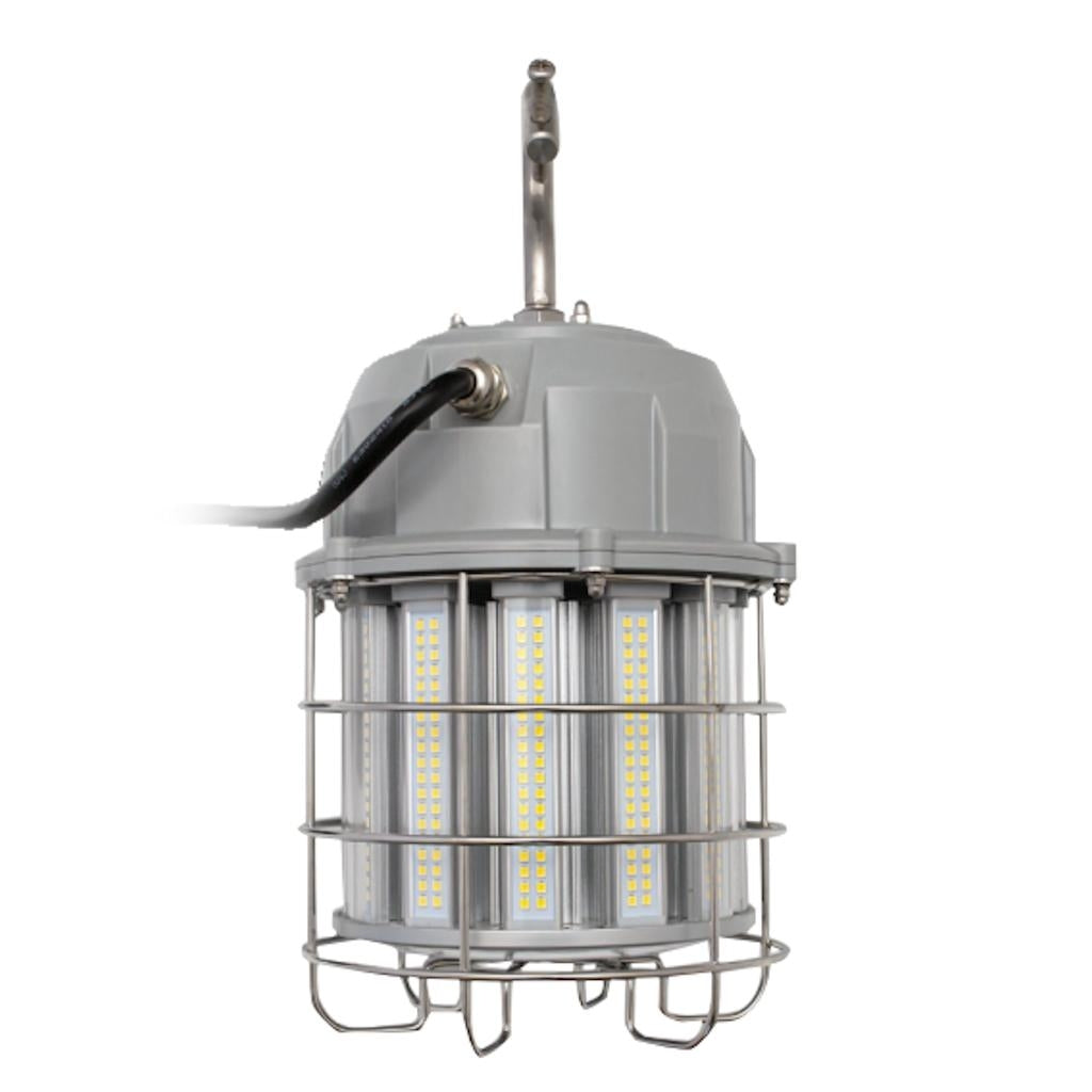 100 watt 120/277 volt 5000K LED Work Light with Cage 1