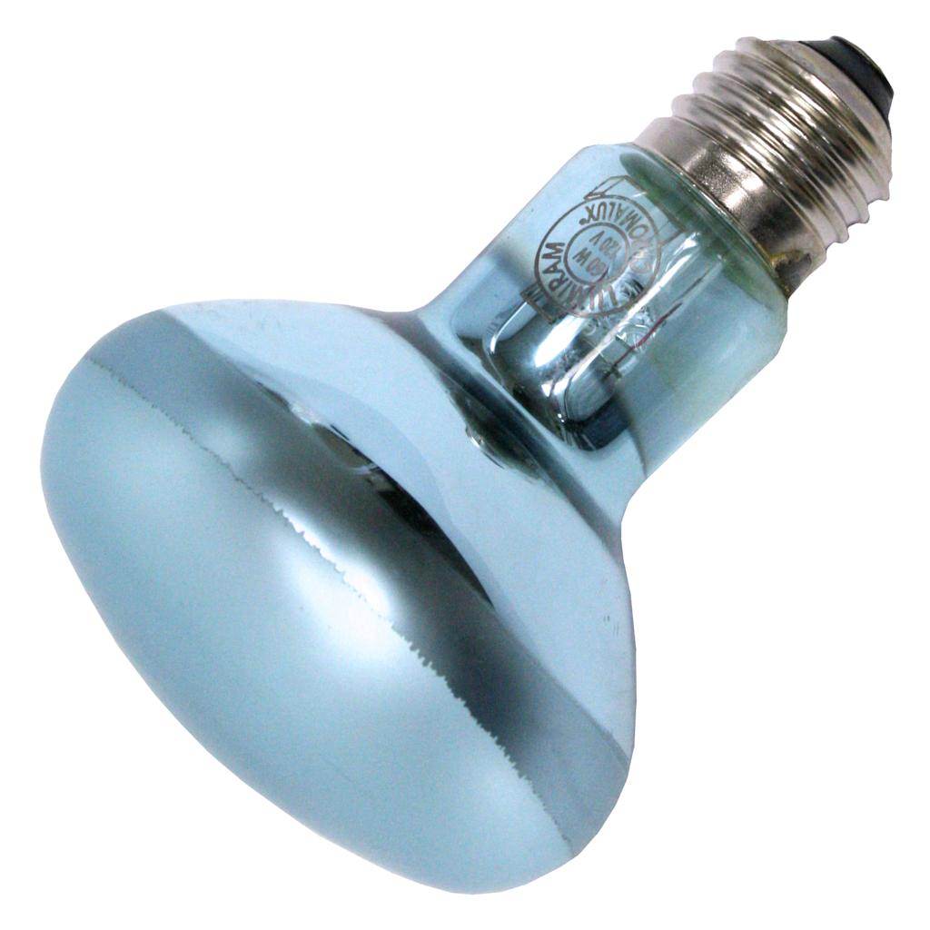 60 watt 115/125 volt R25 Medium Screw Base Frosted Flood 1