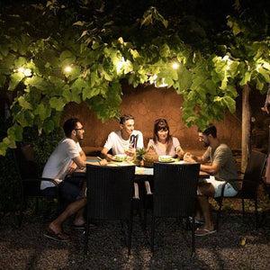 Water Resistant LED Solar String Lights 2