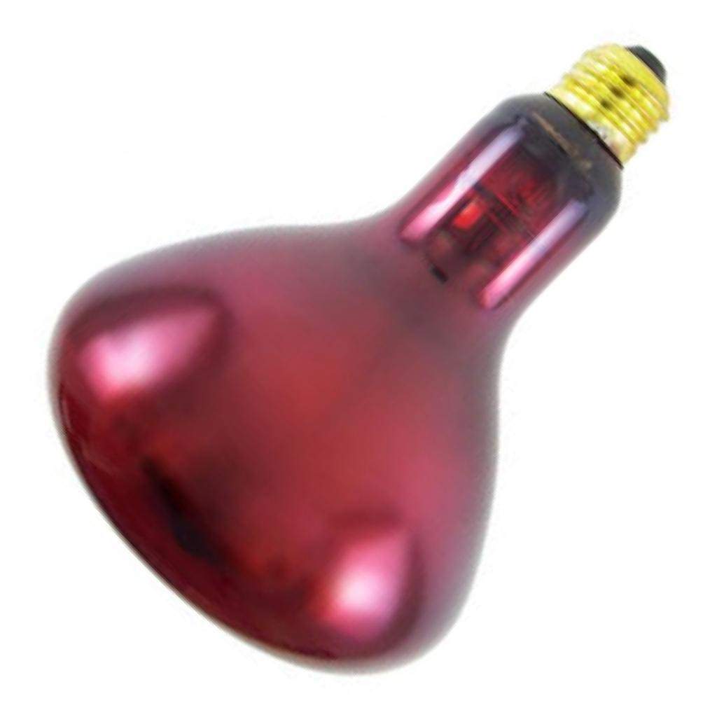 250 watt 230 volt R40 Medium Screw Base Red 1